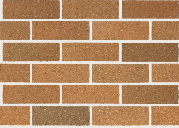 Limousin Gold NSW Bricks