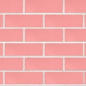 Camilla Rosado NSW Bricks