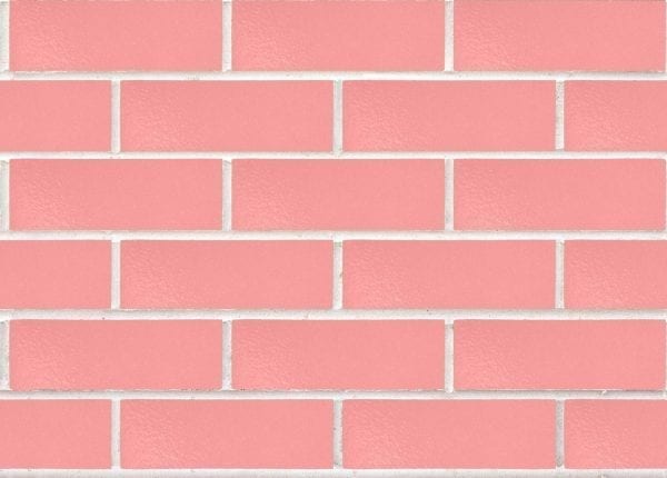 Camilla Rosado NSW Bricks