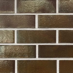 Bronze Sheen