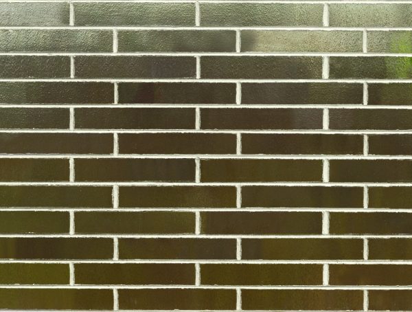 Zinc Shimmer Linear