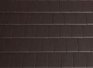 Cocoa