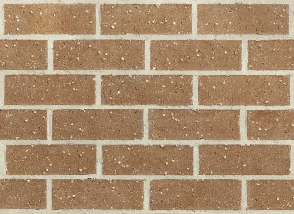 Fossil
