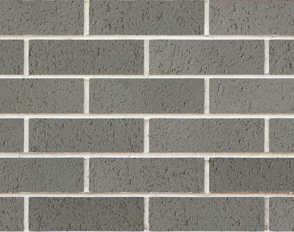 Grey Gum